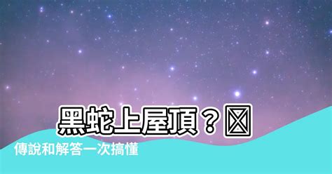 蛇入屋万字|【黑蛇進屋子代表什麼意思】 黑蛇上屋頂？ 傳説和解答一次搞懂！